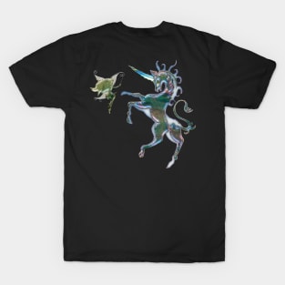 Wonderful unicorn with fairy T-Shirt